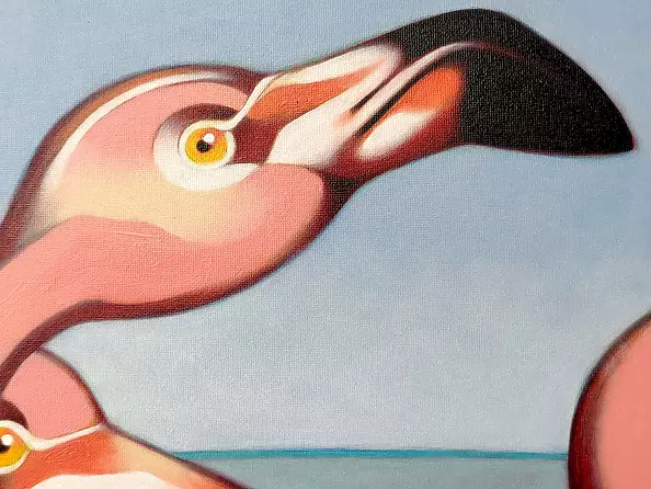 federico cortese - flamingos