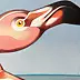 federico cortese - flamingoes