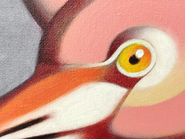 federico cortese - flamingos