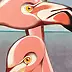 federico cortese - flamingoes