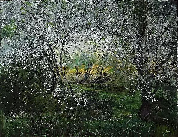 Danil Shurykin - flowering blackthorn
