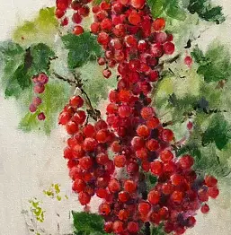 Jadwiga Marcinek - branch of red currants