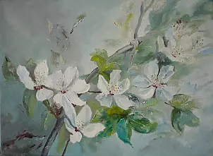   - The branch of blossoming apple tree