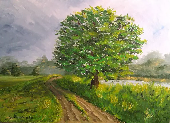 Kamila Dobrowolska Karaczewska - somewhere far...