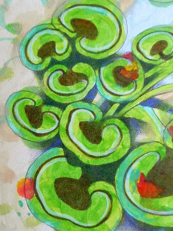 federico cortese - geraniums