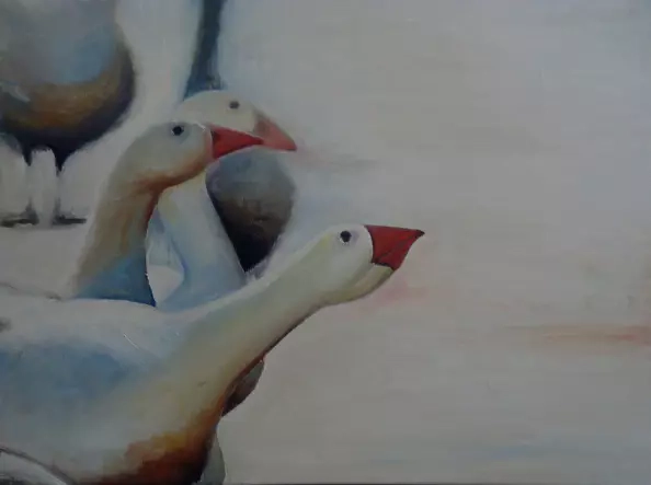 Ewelina Siof - geese