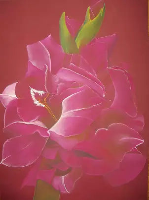 ilona jankowska wojtek - gladiola-violets