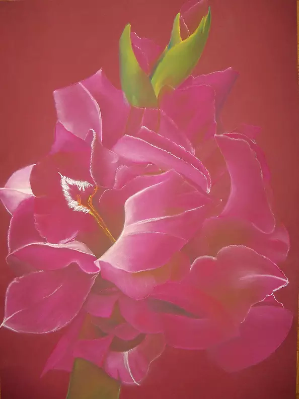 ilona jankowska wojtek - gladiola-violets