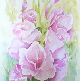 Wieter Wieter - Gladioli