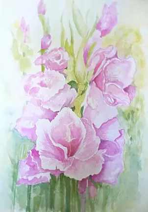 Wieter Wieter - Gladiole