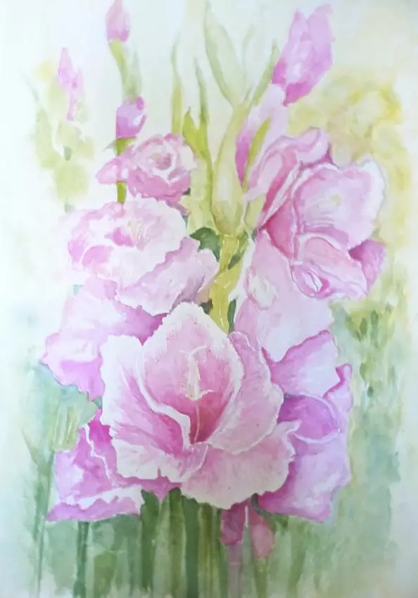 Wieter Wieter - Gladioli