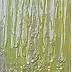 Krystyna Ciećwierska - водоросли