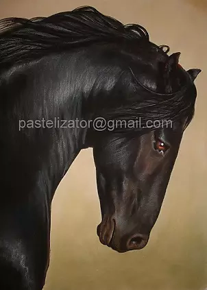 Robert Chełchowski - head Frisian