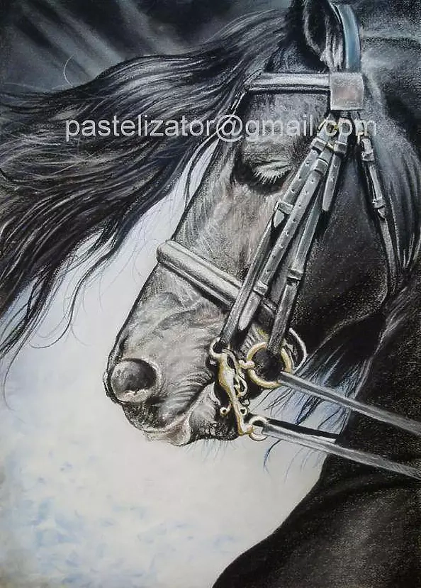 Robert Chełchowski - horse head