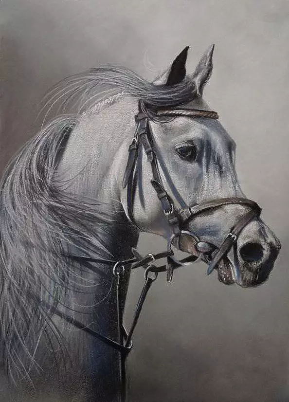 Robert Chełchowski - horse head