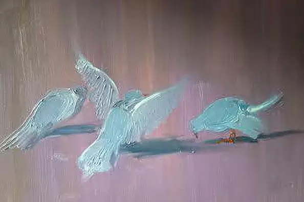 Jerzy Kowal - Gołębie