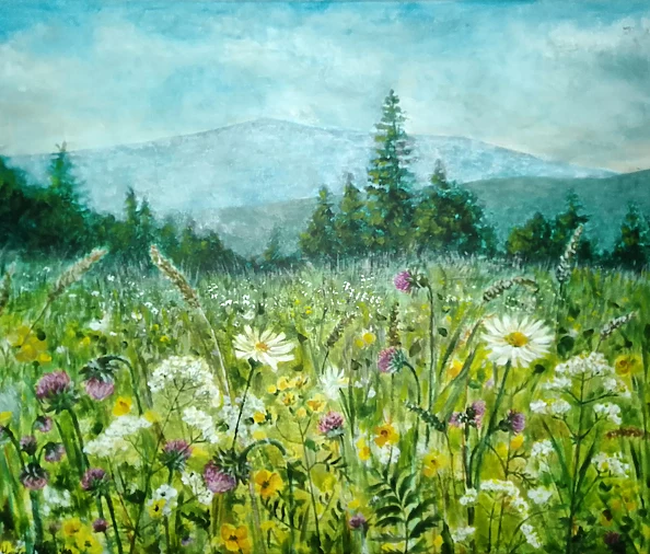 Marta Milewska - górska łąka