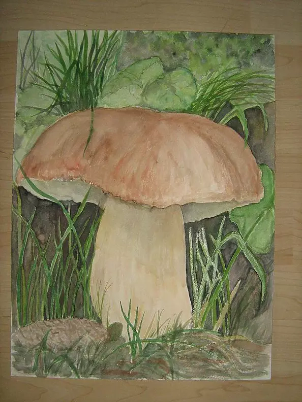 Wieter Wieter - mushroom