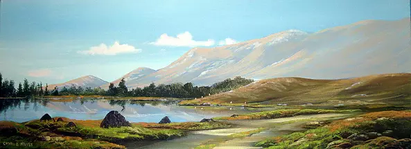 Cathal O Malley - Inagh bogland