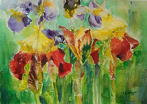 Eugenia Sochowska - irysy1