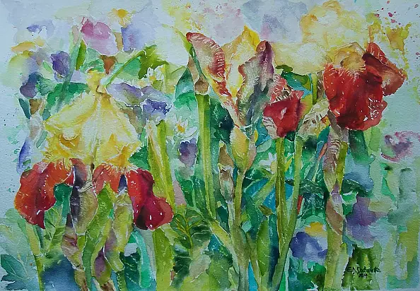 Eugenia Sochowska - irysy2