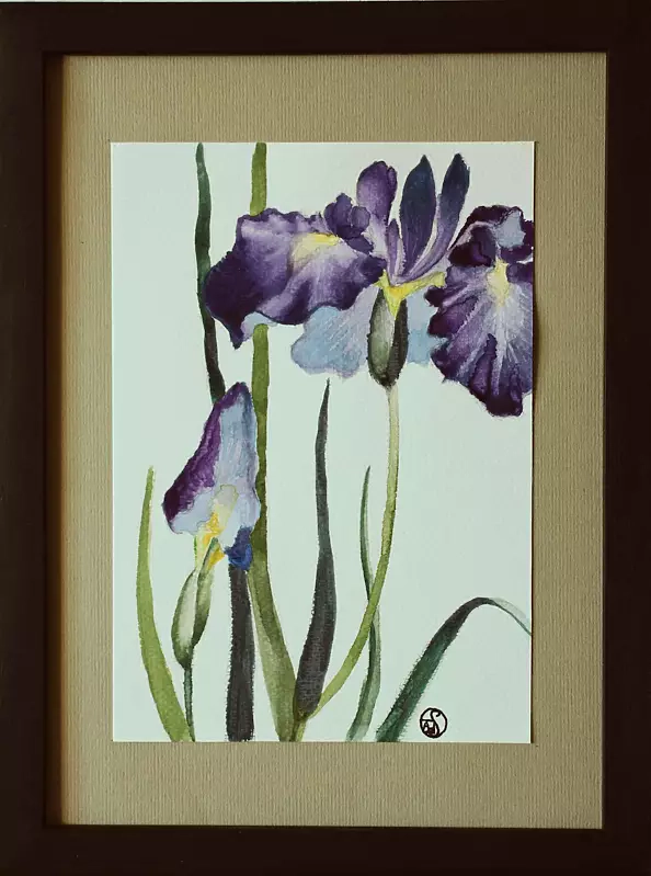 Pracownia Artefakty - irises - watercolor