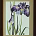 Pracownia Artefakty - irises - watercolor