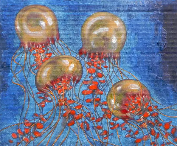 federico cortese - jellyfish