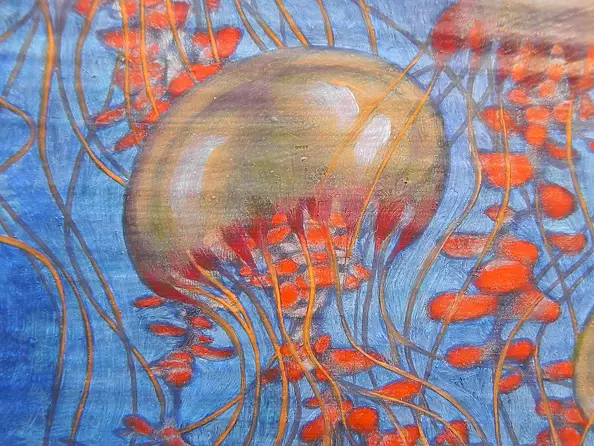 federico cortese - jellyfish