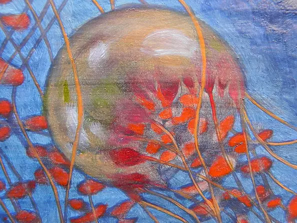 federico cortese - jellyfish