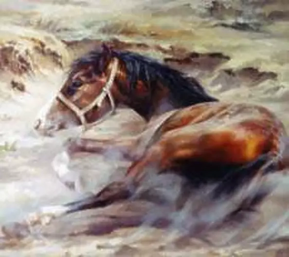 Maria Gruza - chestnut