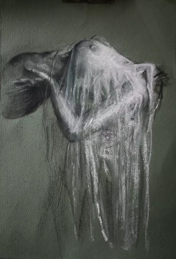 Agata Klimowska - woman