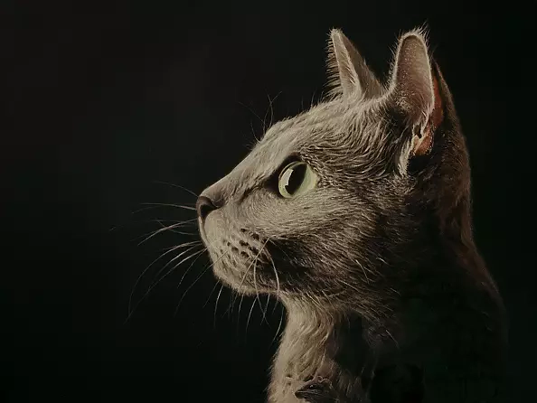 Łukasz Owczarek - kobietawczerwonejsukiencezpsemnaramieniu