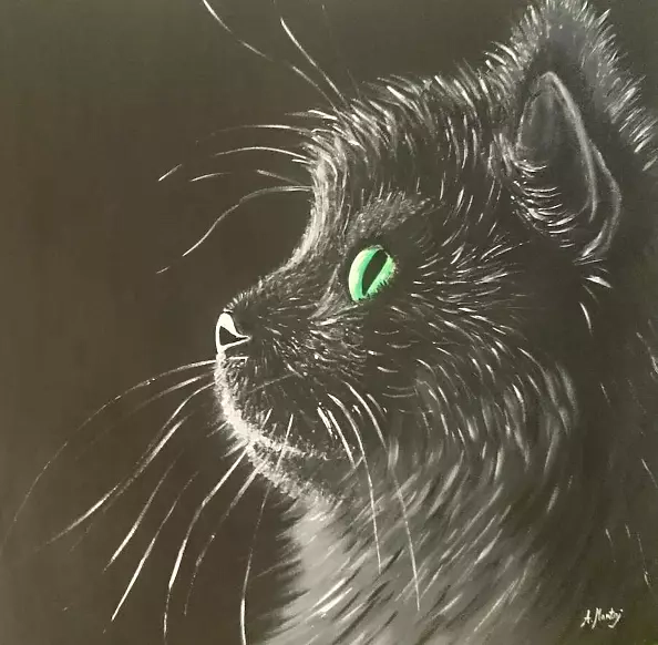 Agnieszka Mantaj - kocie spojrzenie 