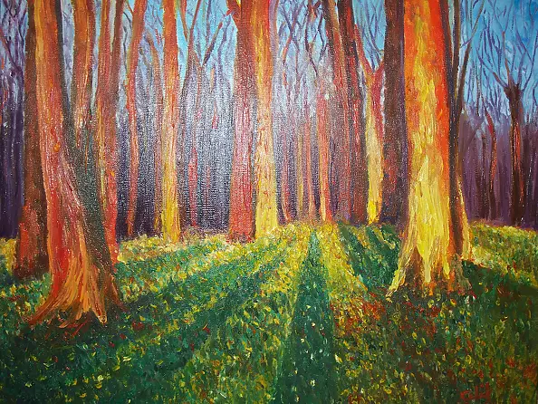 Hasan Celik - autumn color