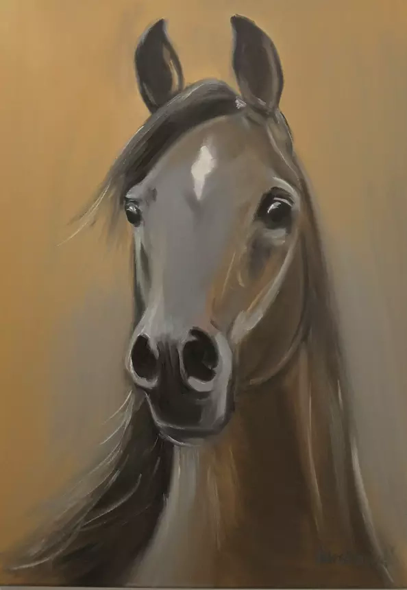 Krzysztof Kloskowski - horse