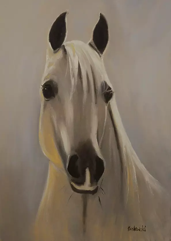 Krzysztof Kloskowski - horse
