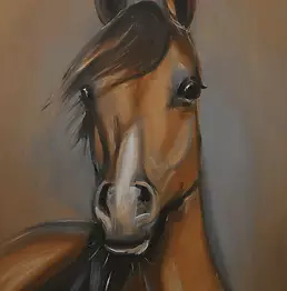 Krzysztof Kloskowski - koń