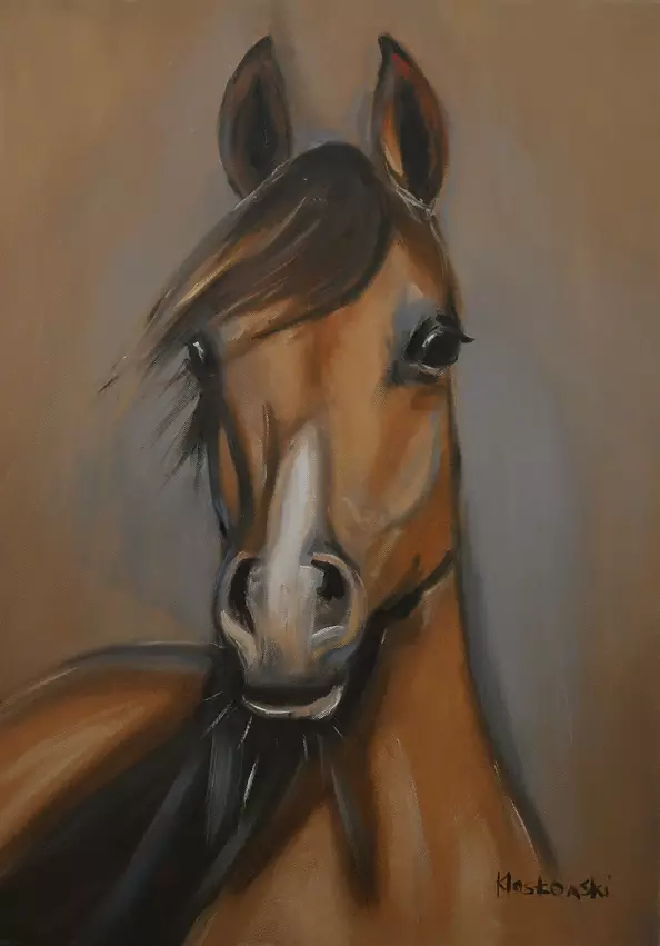 Krzysztof Kloskowski - horse