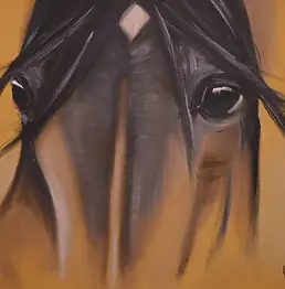 Krzysztof Kloskowski, cheval, Peinture à l'huile - , 70 x 50