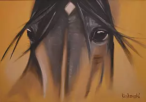 Krzysztof Kloskowski - horse