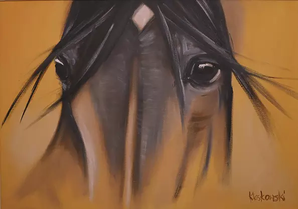 Krzysztof Kloskowski - horse