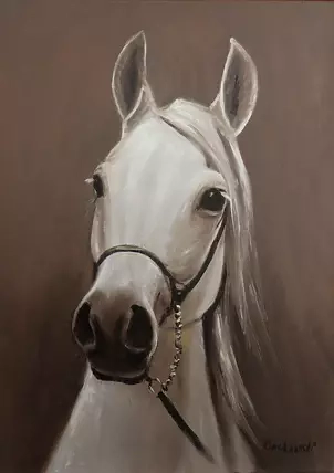 Krzysztof Kloskowski - horse