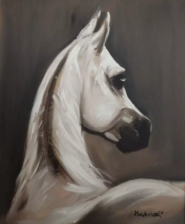 Krzysztof Kloskowski - horse