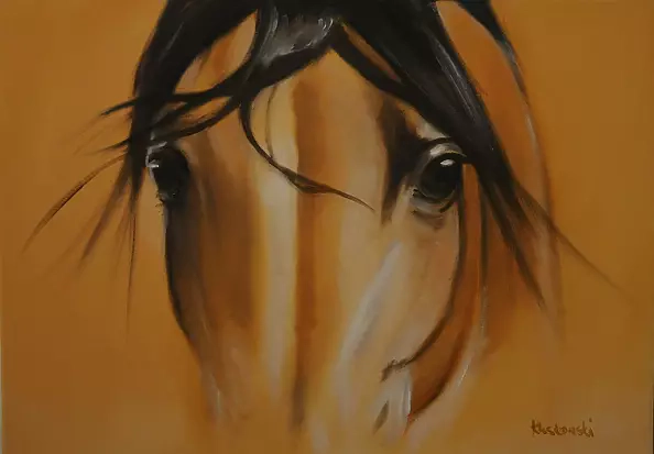 Krzysztof Kloskowski - horse