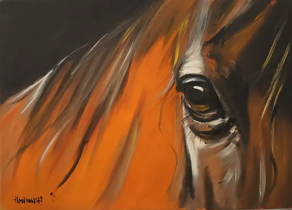 Krzysztof Kloskowski - horse