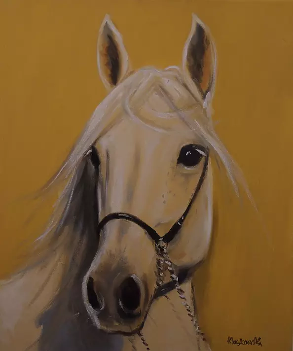 Krzysztof Kloskowski - horse