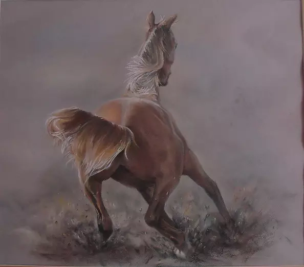 Paweł Pałczyński - horse on the run