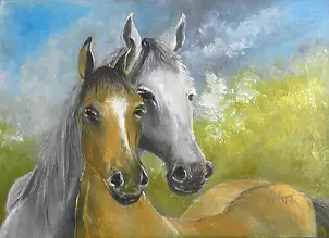 Jolanta Steppun - horses