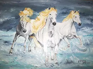 Jolanta Steppun - Konie